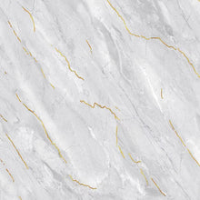 Load image into Gallery viewer, china marble look floor with golden lines