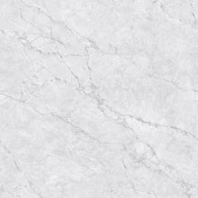 Load image into Gallery viewer, full glazed porcelain tile1000x1000