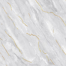 Load image into Gallery viewer, china marble look floor with golden lines
